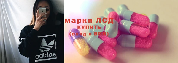 шишки Алзамай