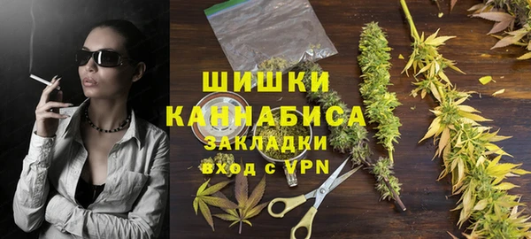 шишки Алзамай