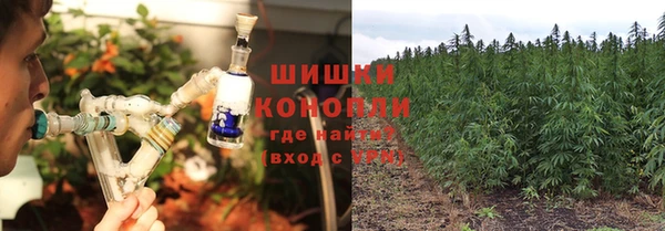 шишки Алзамай
