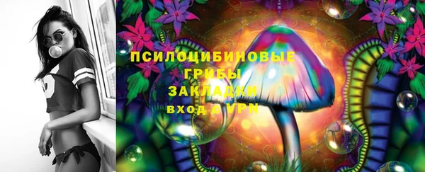 не бодяженный Алексин