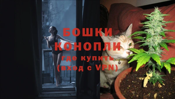 шишки Алзамай